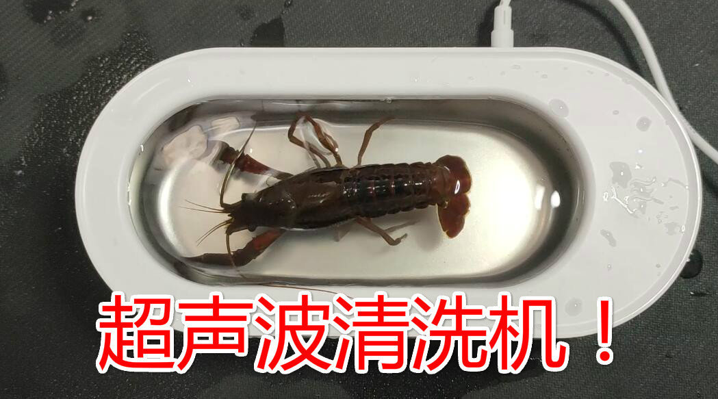 网购了个“超声波清洗机”...